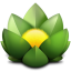 icon-versions-mac