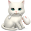 icon-shortcat-mac