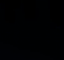 icon-the-very-organized-thief