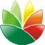 icon-eximioussoft-logo-designer-win