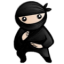 icon-system-ninja