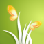 icon-free-relaxing-sounds-of-nature-iOS