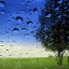 icon-weatherious
