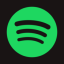 icon-spotify-music-iOS