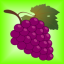 icon-best-diet-foods-iOS