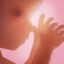 icon-pregnancy-plus-iOS