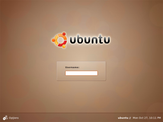 Фото ubuntu server