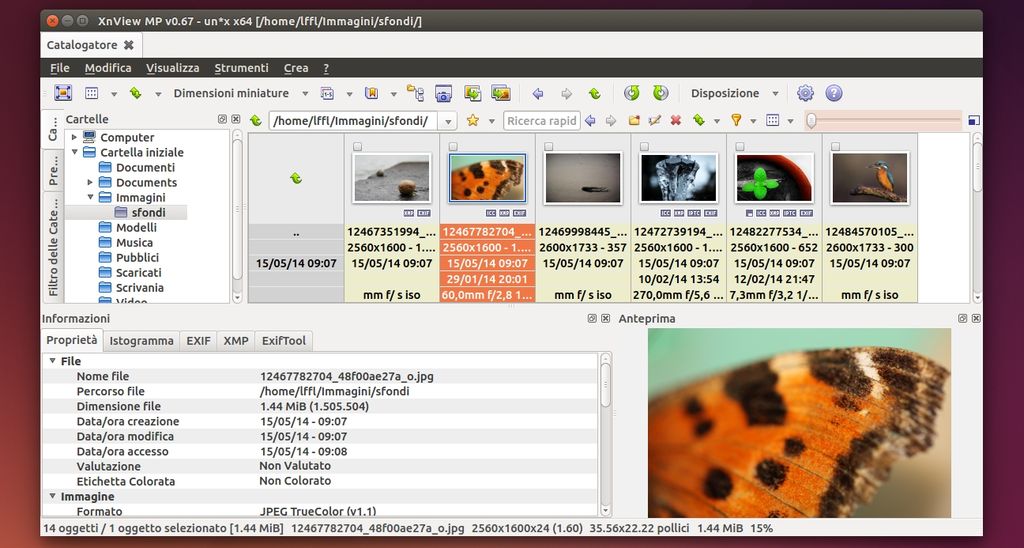 xnview mp for ubuntu