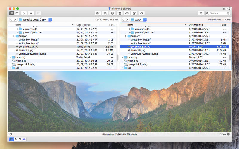 yummy ftp pro app store yummy ftp pro app store