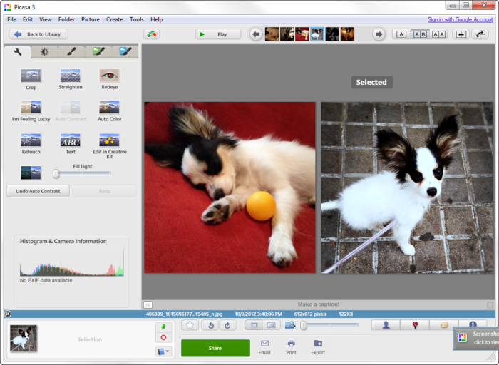 picasa photo viewer free download for windows 10