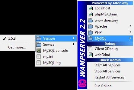 wamp server for windows 8