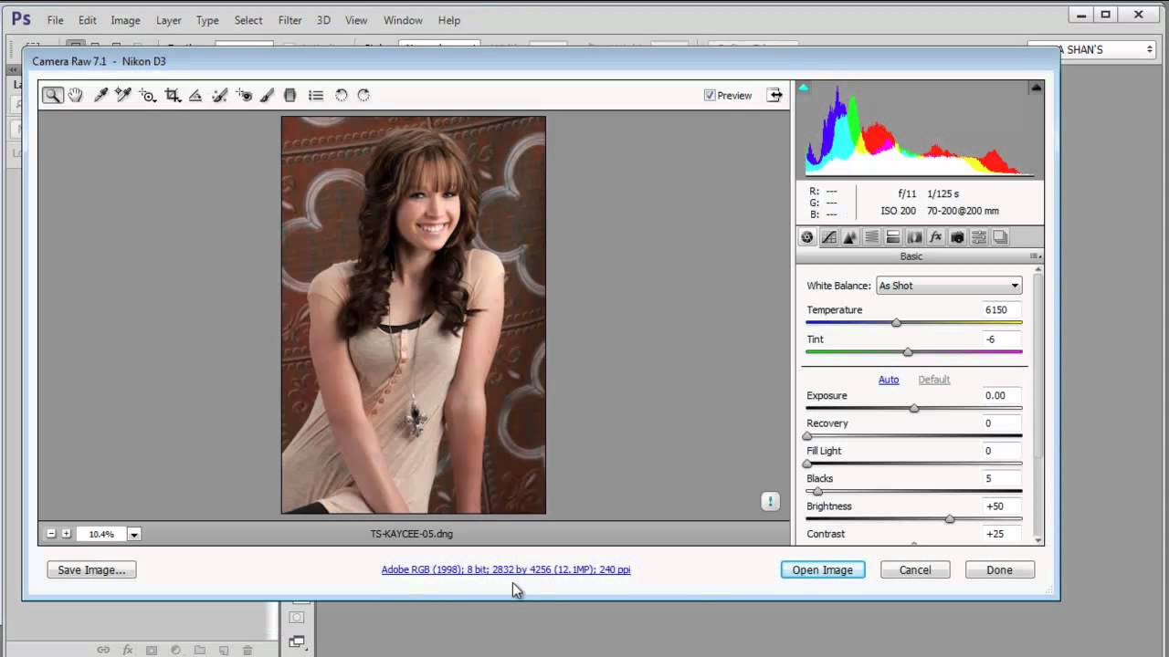 plugin photoshop cs4 camera raw